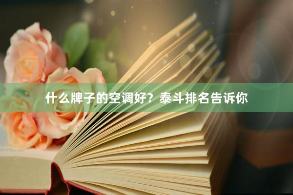 什么牌子的空调好？泰斗排名告诉你